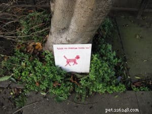 Teach Your Dog an Elimination Command: Simplify Potty Training & Clean Up Effortlessly