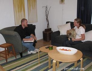 Guarantee Your Dog s Success in Obedience Training