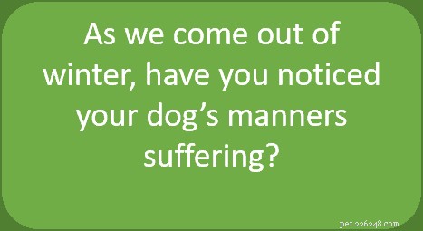 Spring Refresh: Re‑teach Your Dog Commands & Boost Their Behavior