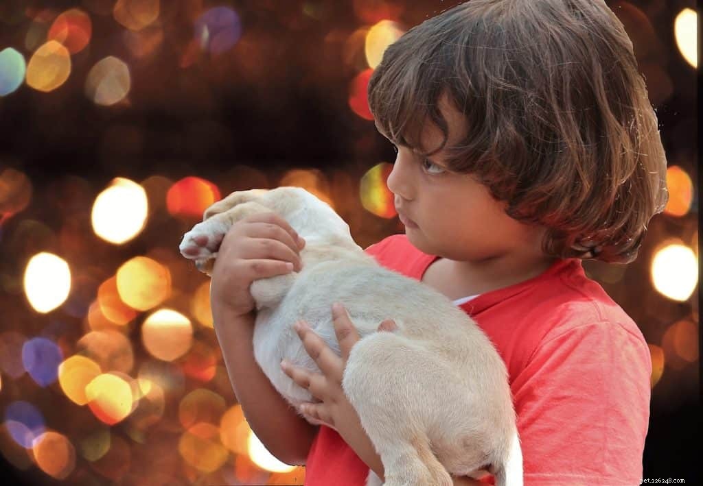 Adopting a New Puppy This Holiday Season? Essential Tips for a Happy Start