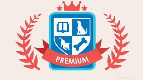 Master Dog Training Online: Fun & Effective Courses by Expert Trainers