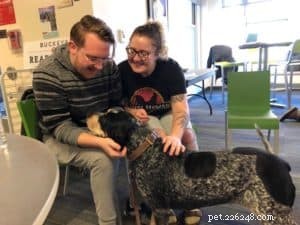 7 Essential Factors to Evaluate Before Bringing Home a Puppy