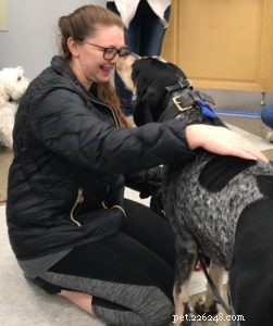 Essential Insights Every Dog Owner Must Know