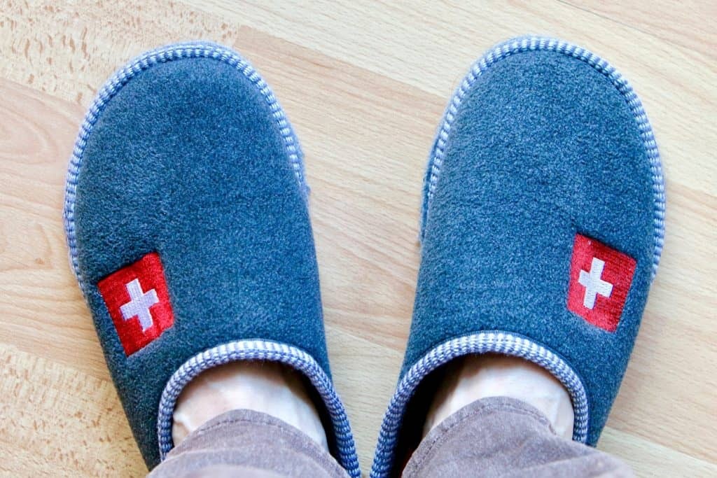 Teach Your Dog the  Get My Slippers  Fetch Trick – Easy Steps for All Ages