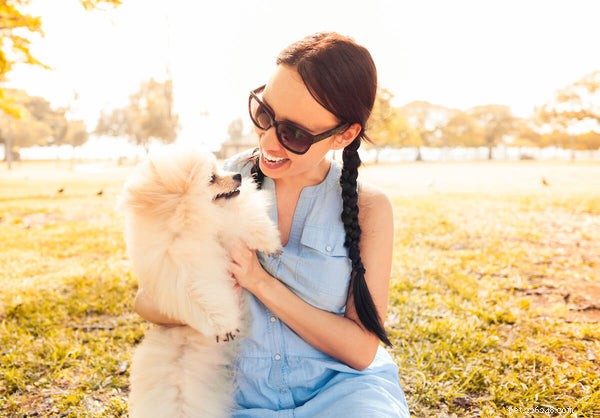 Pomeranians: Aggression Risk & Bite Potential Explained