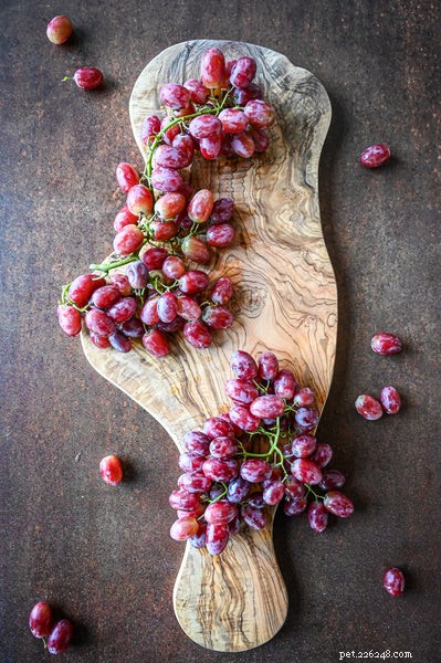 Grapes Are Dangerous for Dogs: Why and How to Protect Your Pet
