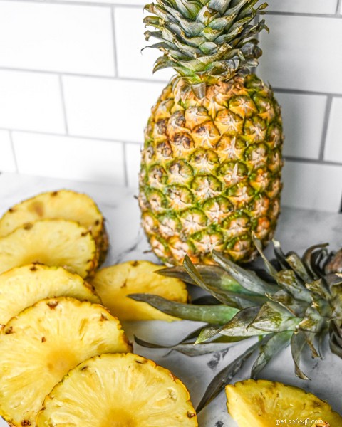 Can Dogs Eat Pineapple? How to Serve It Safely