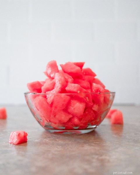 Is Watermelon Safe for Dogs? Expert Guide to This Refreshing Summer Treat