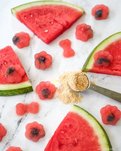 Is Watermelon Safe for Dogs? Expert Guide to This Refreshing Summer Treat