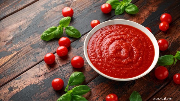 Can Dogs Safely Eat Tomatoes? A Guide to the Pros, Cons, and Feeding Tips
