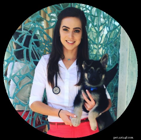 Understanding Canine Pancreatitis: Causes, Symptoms, and Prevention Strategies