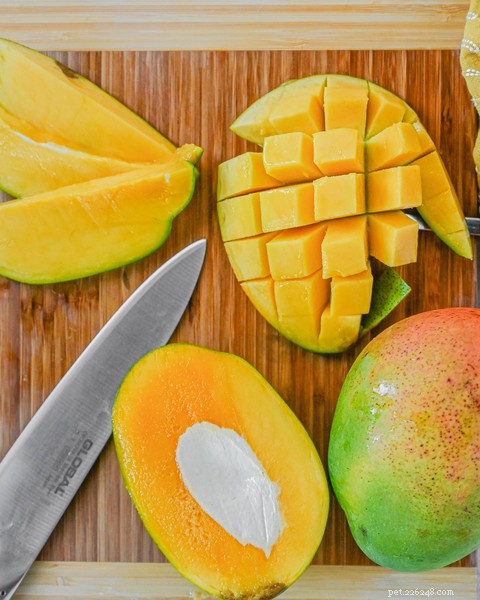 Mango for Dogs: Safe, Nutritious Snack & Serving Guide