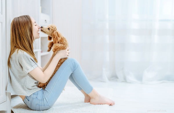 Dog Sneezing Explained: Common Causes & When to Seek Veterinary Care
