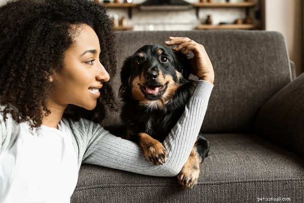 Can Dogs Safely Eat Asparagus? Health Benefits, Risks, and Feeding Guidelines