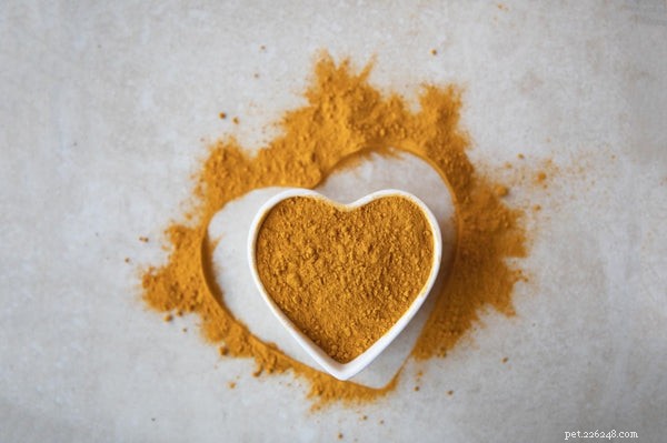 Turmeric for Dogs: Proven Health Benefits of the Golden Spice
