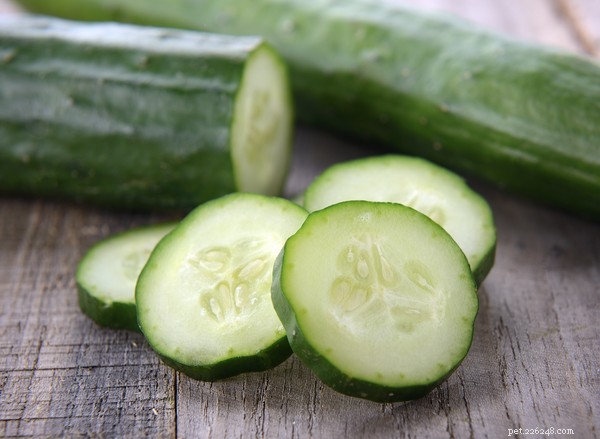 Are Cucumbers Safe for Dogs? Hydration, Health Benefits, and Feeding Tips