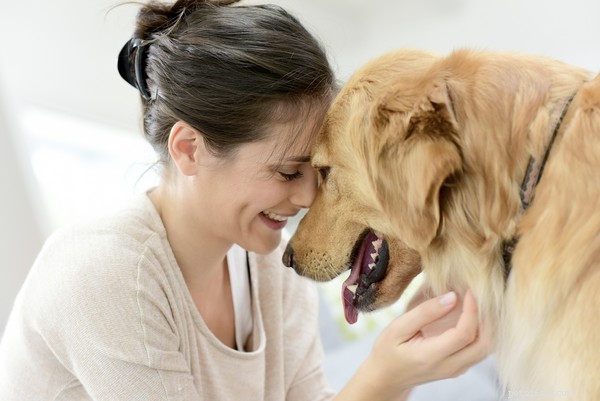 Recognizing UTI Symptoms in Dogs: What to Tell Your Vet