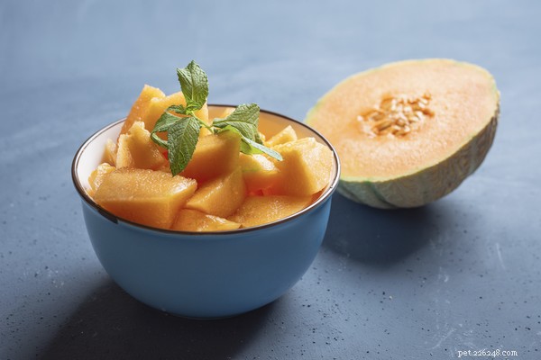 Cantaloupe for Dogs: Safe Ways & Health Benefits