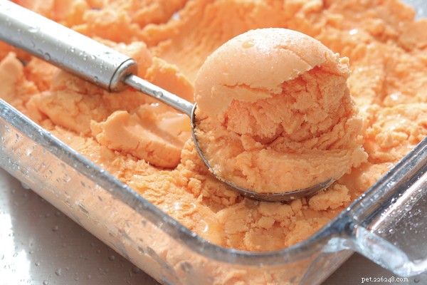 Cantaloupe for Dogs: Safe Ways & Health Benefits