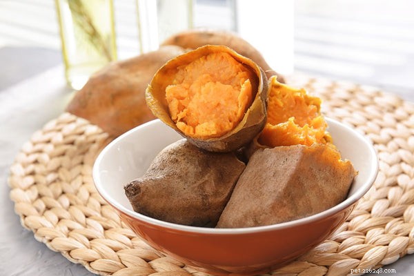 Sweet Potatoes for Dogs: Safe, Nutritious, and How to Serve Them