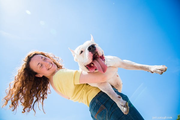 Understanding Why Your Dog Licks the Air: Causes, Concerns, and What to Do