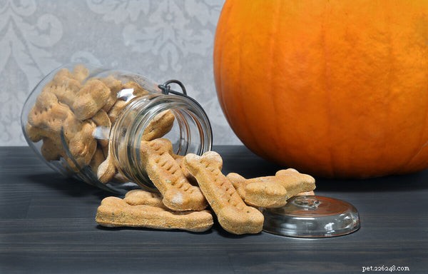 Can Dogs Safely Eat Pumpkin? Expert Feeding Guide & Health Benefits