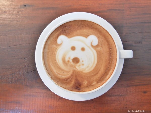Can Dogs Safely Drink Milk? Expert Tips for When and How