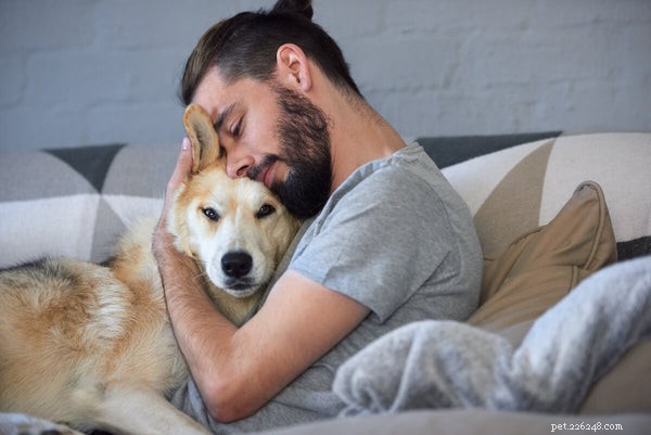 Dog Bladder Stones: Causes, Symptoms, and Expert Treatment Options