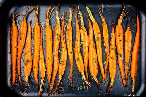 Can Dogs Safely Eat Carrots? A Guide to Benefits & Serving Tips