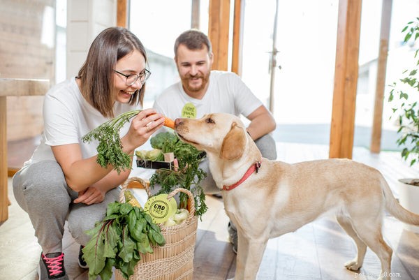 Can Dogs Safely Eat Carrots? A Guide to Benefits & Serving Tips