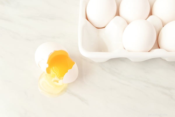 Eggs for Dogs: Safe, Nutritious, and How to Serve Them