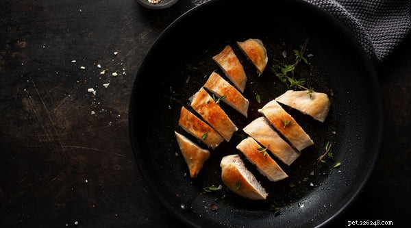 Can Dogs Eat Chicken? Safe Ways to Feed Your Dog Chicken Safely