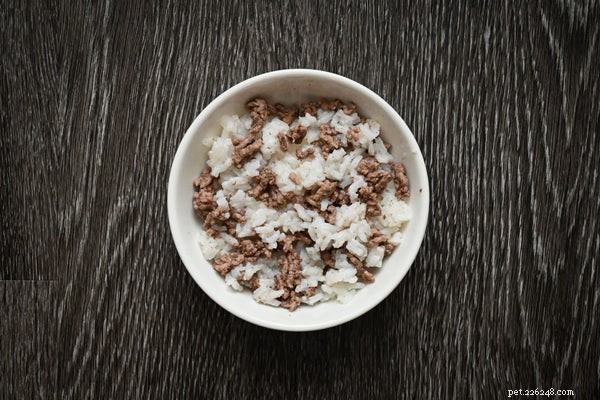 Is Ground Beef Safe for Dogs? Benefits & Feeding Tips