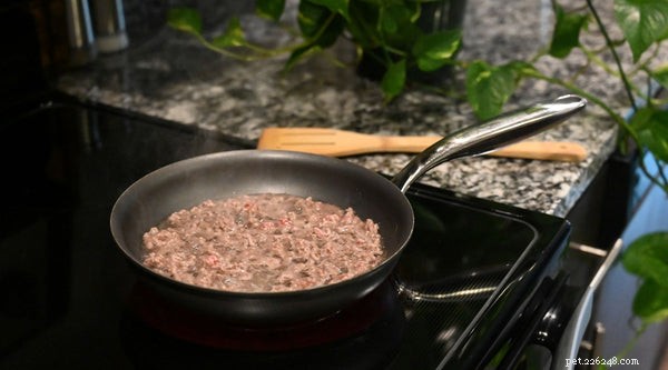 Is Ground Beef Safe for Dogs? Benefits & Feeding Tips