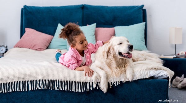 Dog Atopic Dermatitis: Causes, Symptoms & Proven Treatments