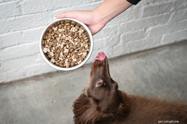 Is Turkey Safe for Dogs? Expert Tips on Feeding Your Pet Turkey