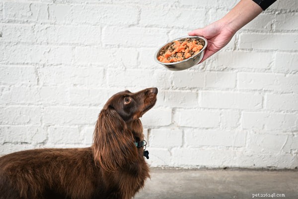 Can Dogs Safely Eat Potatoes? Vet-Approved Tips