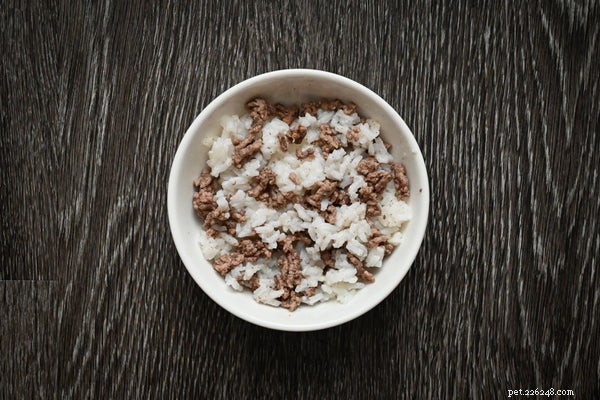 Is White Rice Safe for Dogs? Expert Insights on Feeding Rice to Your Pet