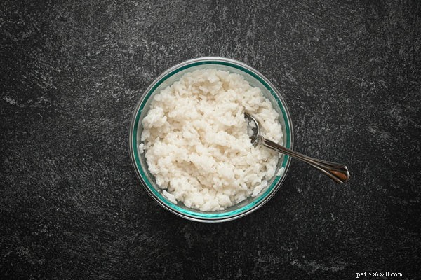 Is White Rice Safe for Dogs? Expert Insights on Feeding Rice to Your Pet