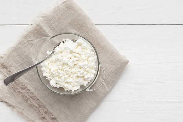 Cottage Cheese for Dogs: Safe, Nutritious, and How to Feed It