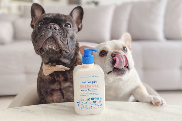 Omega-3 Supplements for Dogs: Safe Human Forms? Expert Insights & Research Findings