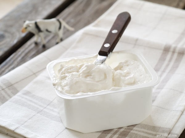 Can Dogs Safely Eat Cream Cheese? Nutrition & Safety Tips