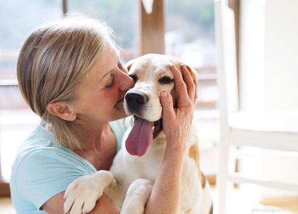 Effective Dog Allergy Treatments: Safe Remedies Your Pet Will Love