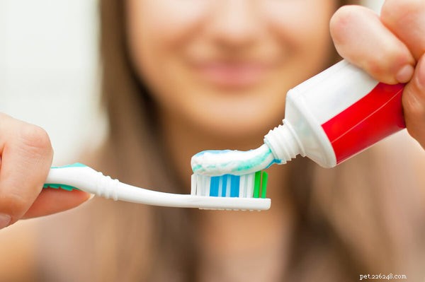 Xylitol in Dogs: Understanding the Risks and Recognizing Poisoning Symptoms