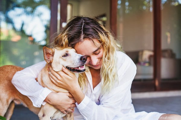 Dog Skin Allergies: Spotting & Managing Atopic Dermatitis for a Healthier Coat