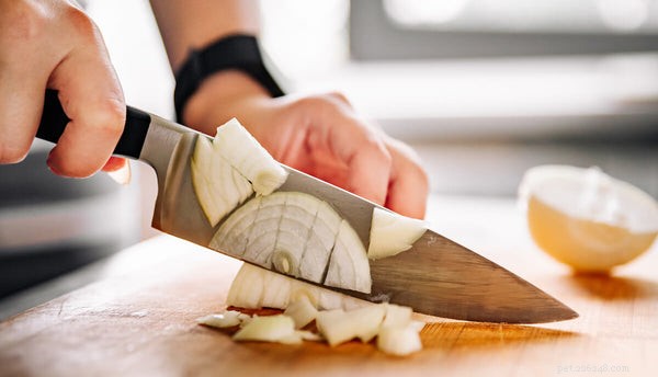 Foods Dogs Must Avoid: Protect Your Pet from Harmful Foods
