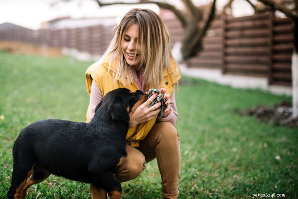 Rottweilers Aren’t Hypoallergenic: A Guide for Allergy Sufferers