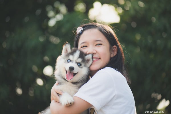 Husky Longevity & Health: Life Expectancy, Common Concerns, and Care Guide