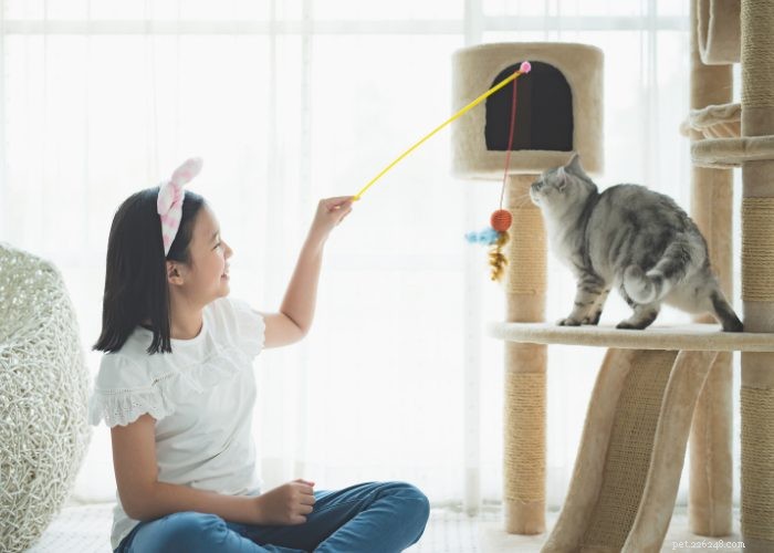 Build Immunity to Cat Allergies: Enjoy Your Feline Friend