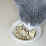 Budget-Friendly Homemade Cat Food: Healthy, Nutritious Recipes